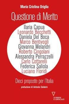 Questione di Merito