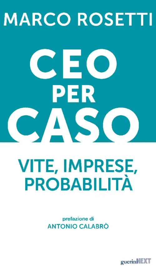 CEO per caso