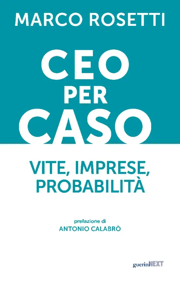 CEO per caso