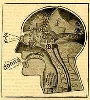 Psicofisica della visione
